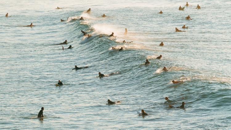 surfers on a crowded wave