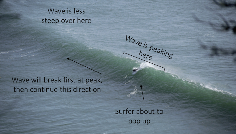 Surfer about to pop up on a wave