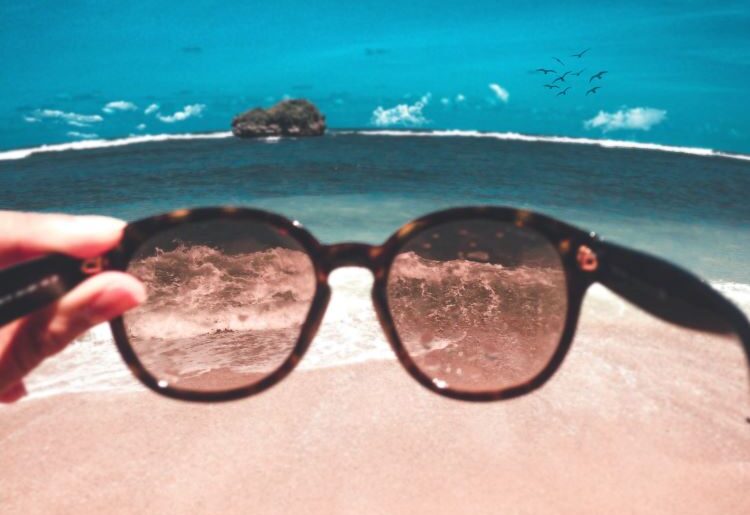 surf sunglasses